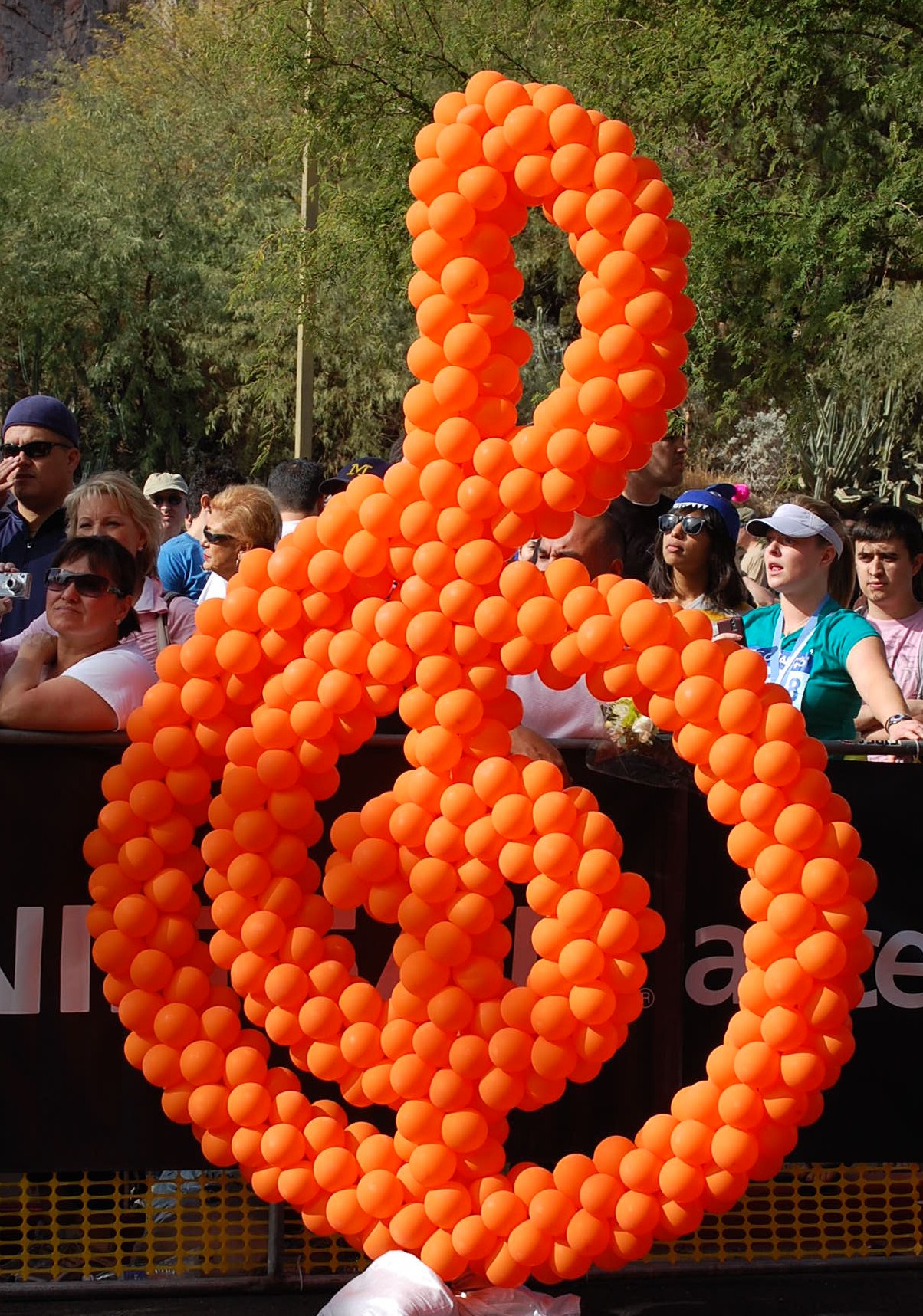 PF Chang Marathon