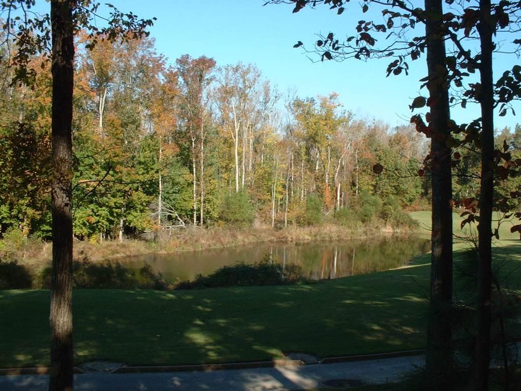 Ford's Colony lot