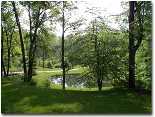 Summer in Chester County PA