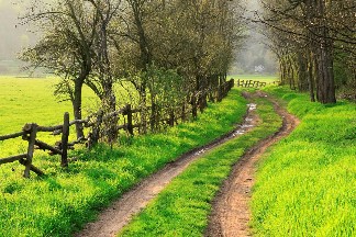 Spring in Chester County