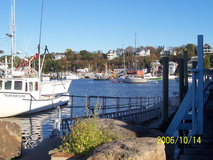 Local Harbor