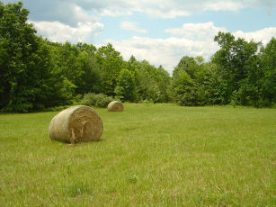 Farms & Acreage