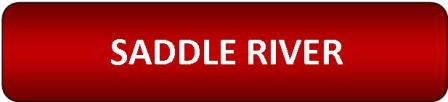 Homes for Sale in Saddle River, NJ