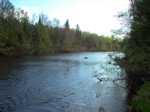 Property for sale on the Pine River by Dorzok Realty