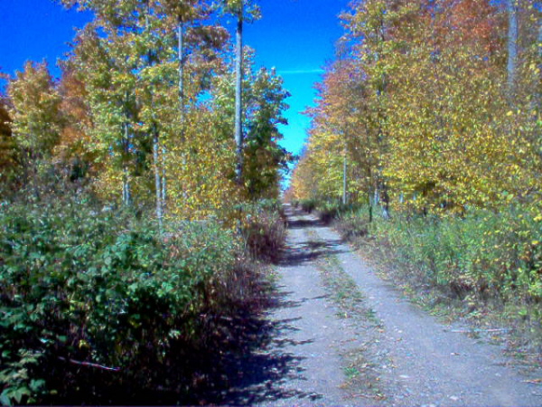 Tipler, WI