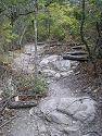 The Dallas Nature Center is nature at its best and is only a short drive from Alvarado real estate.