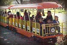 Fort Worth Miniature Trains in Tarrant County real estate