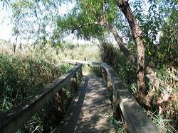 Fort Worth Nature Refuge in Tarrant County real estate