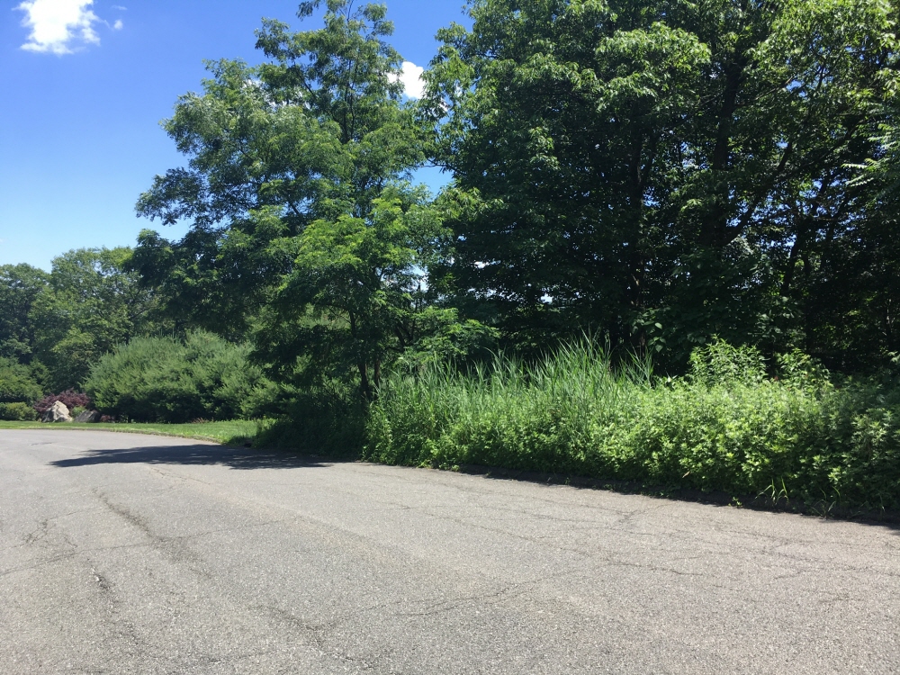 29 South Ridge Road, Pomona, NY, 10970 United States