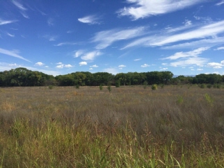 11.13 Ac Off Los Lentes Road, Los Lunas, NM, 87031