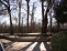 Park setting no image