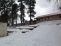 Huge yard is fenced and backs up to Aspen Elementary no image