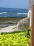steps to the Ocean and enjoy all the tide pool no image