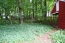 Great yard! no image
