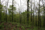 Property.view_front no image