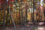 Property.view_front no image