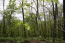Property.view_front no image