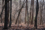 Property.view_front no image