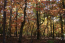 Property.view_front no image