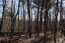Property.view_front no image