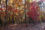 Property.view_front no image