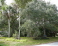 Southern exposure for rear yard or pool no image