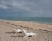 Beach access no image