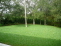 Back yard no image