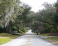 Street has pretty oak canopy & unobstructed ocean views no image