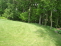 Back Yard no image