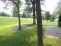 Lawn & view of open space no image