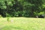Lot #3, Hostetter Lane no image
